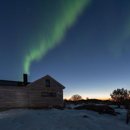 Koselig Bolig I Lofoten / Vesteralen Stronstad i Vesteralen Extérieur photo
